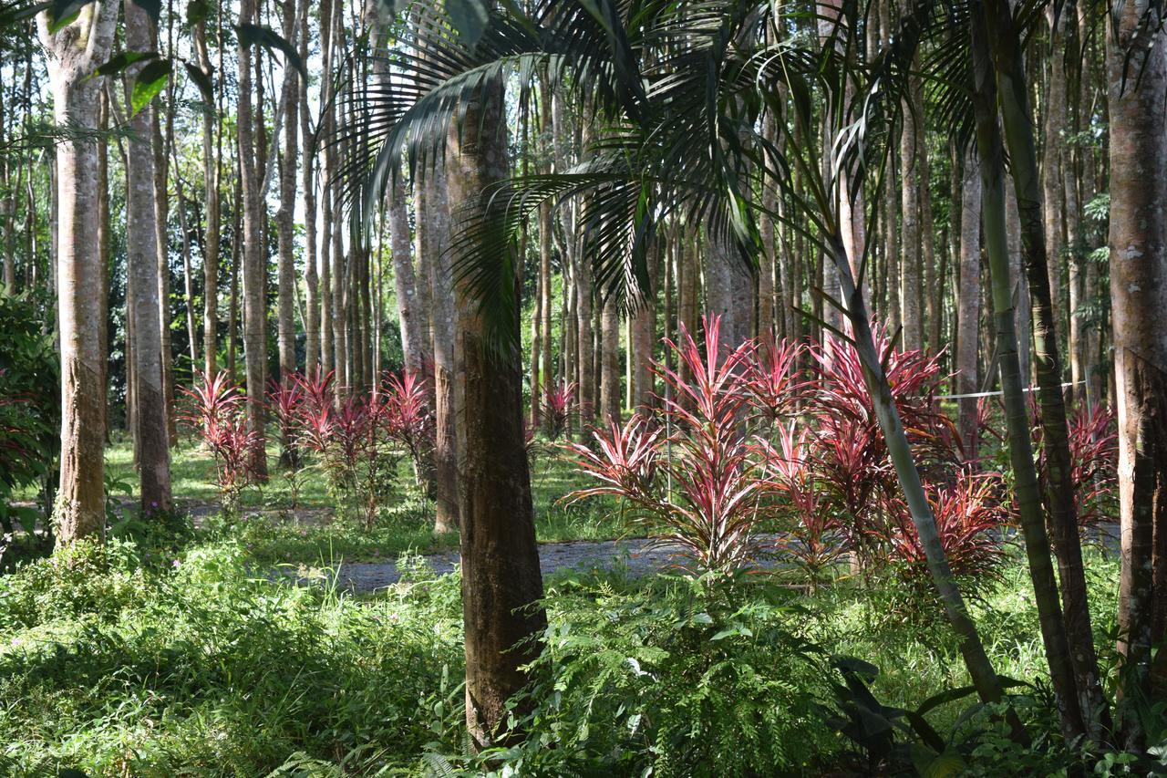 Hotel Manora Garden Phang Nga Exteriér fotografie